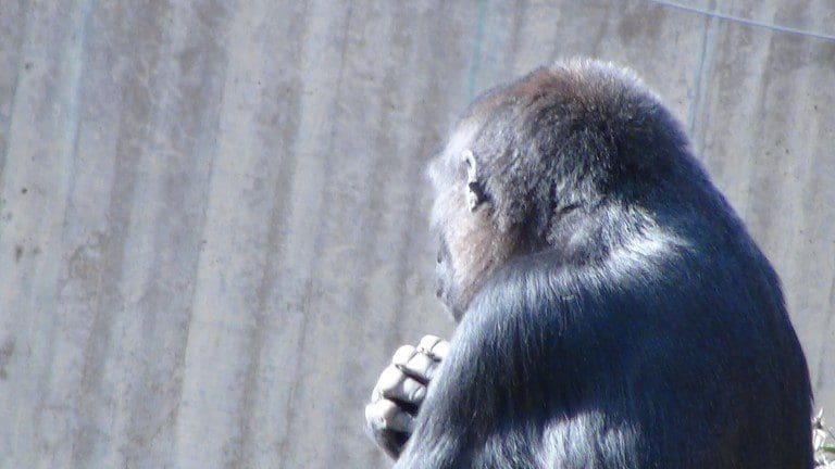 Thoughts and reflections on ‘no politics’ week