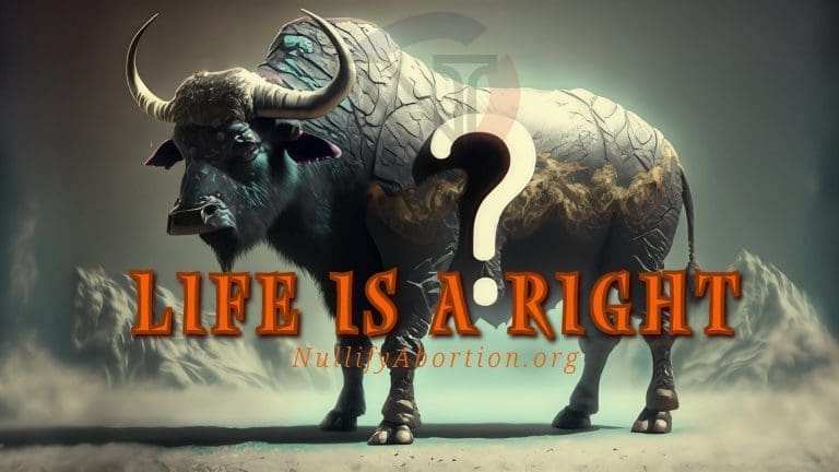 Wyoming HB0152 Fails To Abolish Abortion
